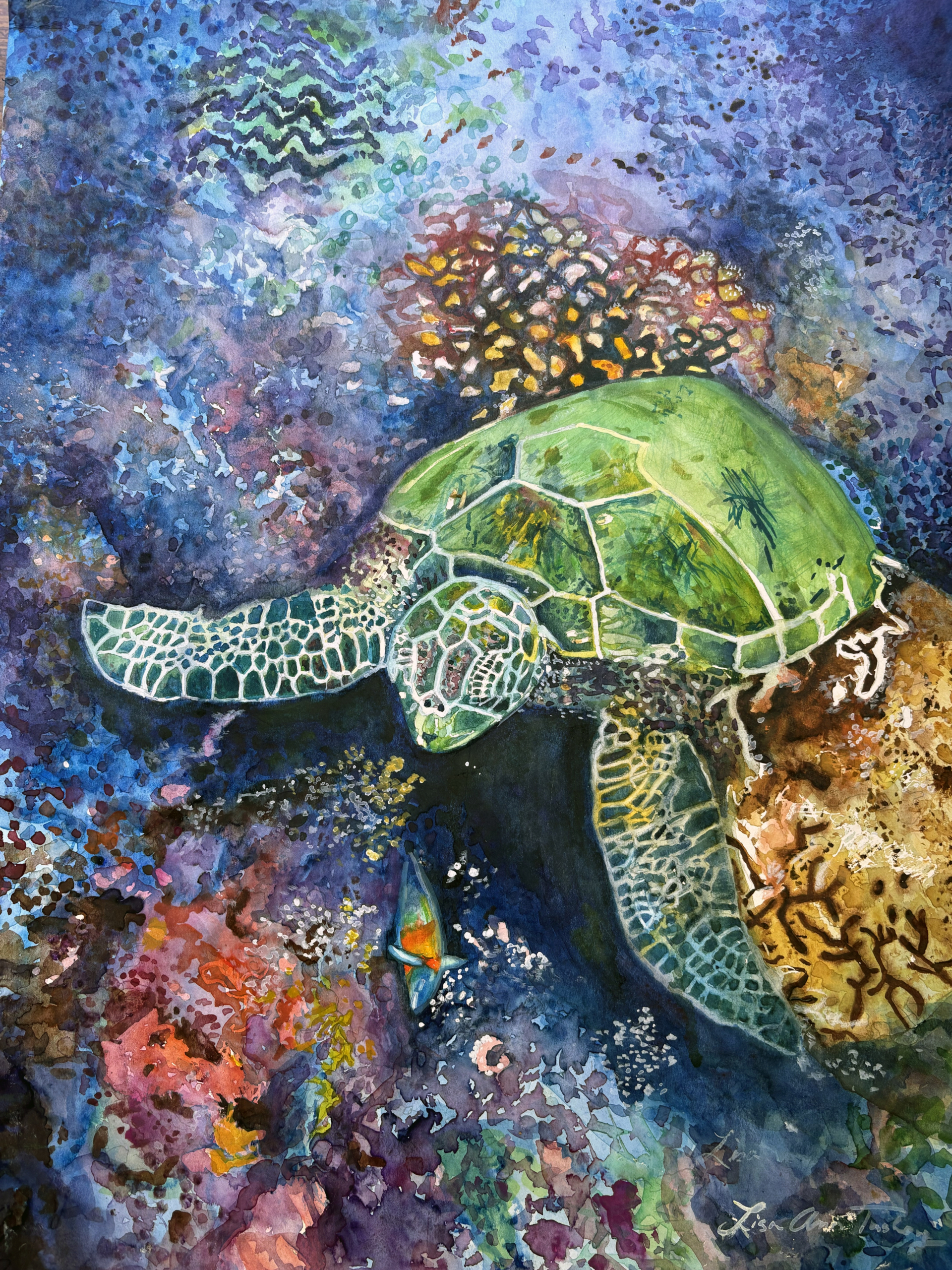 Honolua Honu